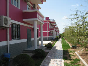 Condos by the "farmer's restaurant"