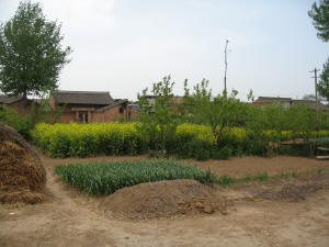 Farm near Farmer's Restaurant