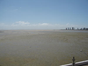 Centro - low tide